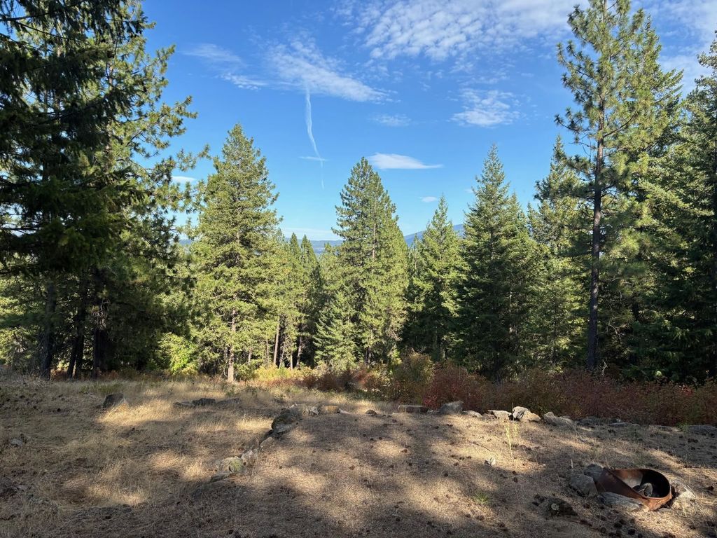 84XX Lodge Pole Ln, Chattaroy, WA 99003 photo 33