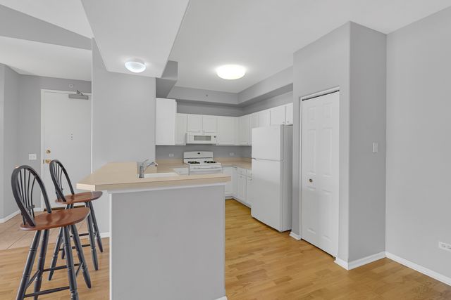 1731 Pavilion Way 505, Park Ridge, IL 60068
