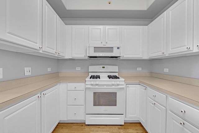 1731 Pavilion Way 505, Park Ridge, IL 60068