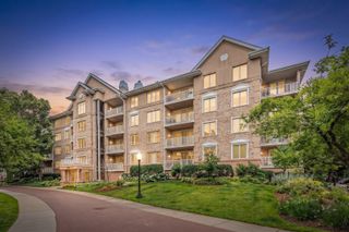 1731 Pavilion Way 505, Park Ridge, IL 60068