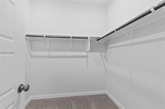 13412 Desert Orchid DR, Buda, TX 78610