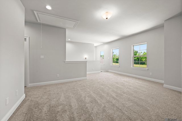 12077 Clare Ct, Geismar, LA 70734