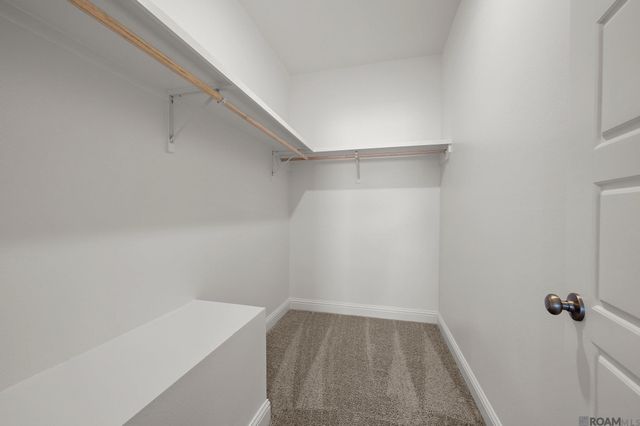 12077 Clare Ct, Geismar, LA 70734