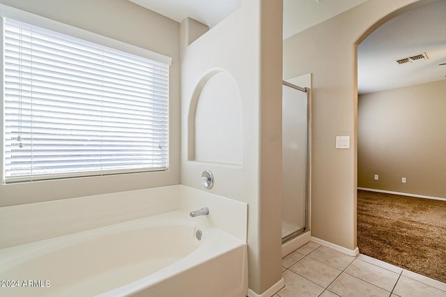 251 W Windsor Drive, Gilbert, AZ 85233