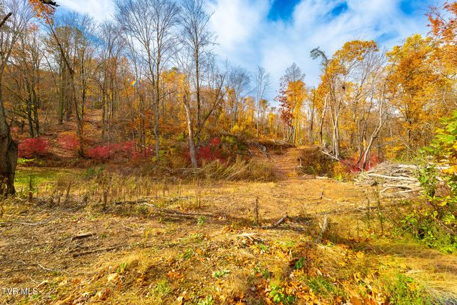 0 Siam Road, Elizabethton, TN 37643