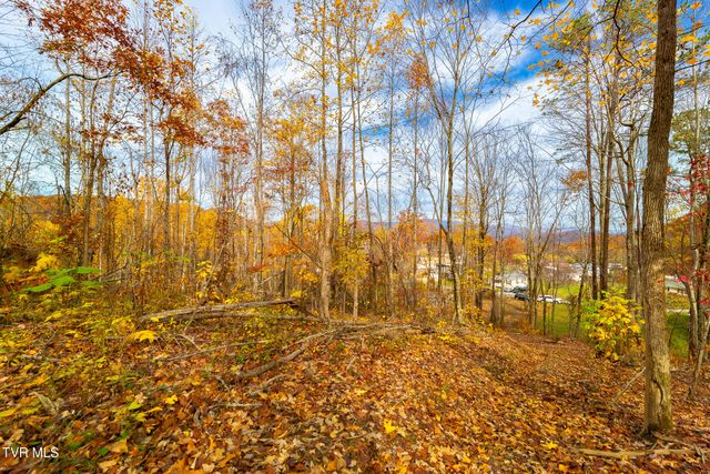 0 Siam Road, Elizabethton, TN 37643