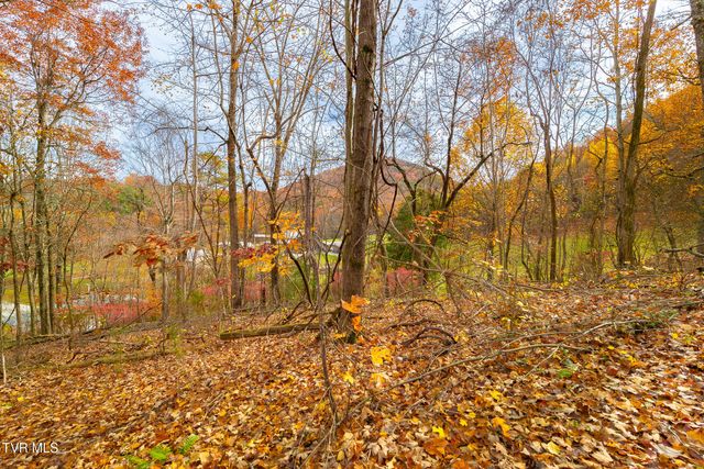 0 Siam Road, Elizabethton, TN 37643