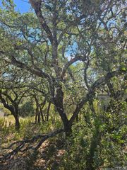 1437 TRAILRIDGE DR, Canyon Lake, TX 78133