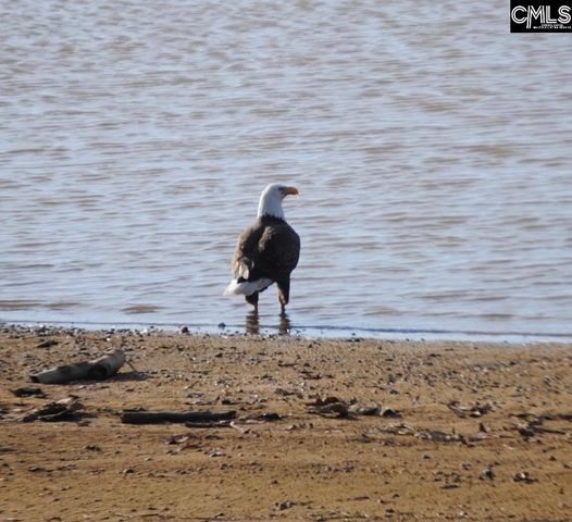 1792 Sailing Club Road, Camden, SC 29020