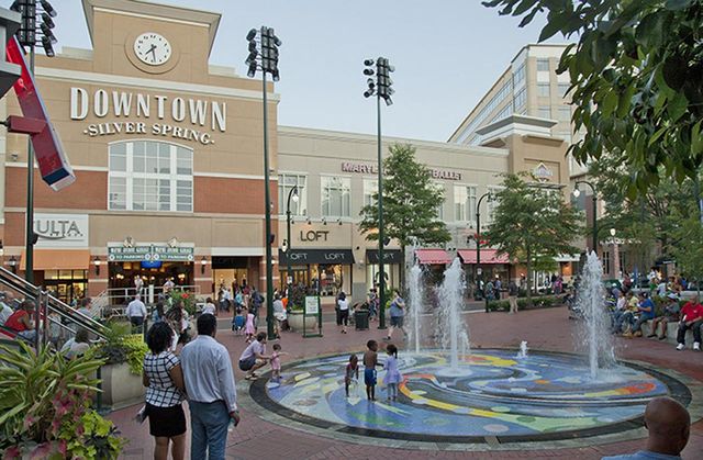 9907 WOODLAND DR, Silver Spring, MD 20902