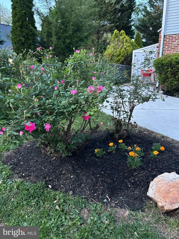 Image 53 of property listing at 9907 WOODLAND DR, Silver Spring, MD 20902