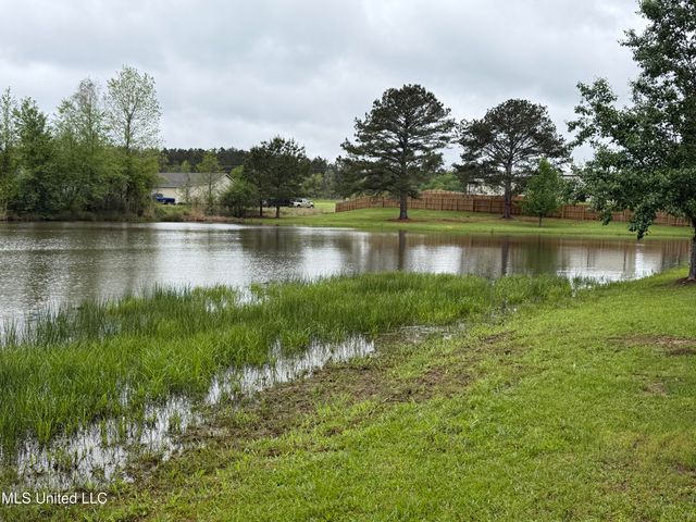 1102 Highway 35, Carthage, MS 39051