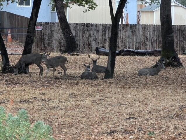 625 Mary Street, Redding, CA 96001