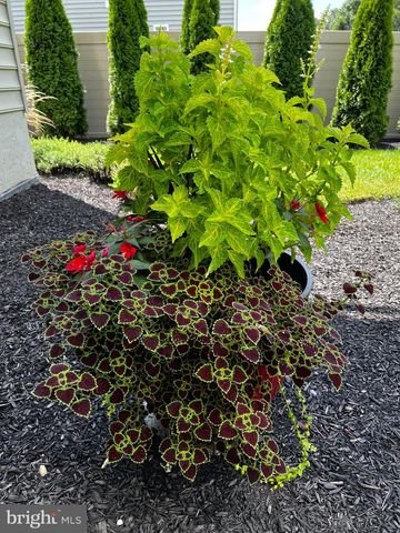 95 HEMPSTEAD DR, Newark, DE 19702