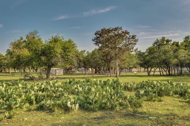 1185 County Road 258, Bertram, TX 78605