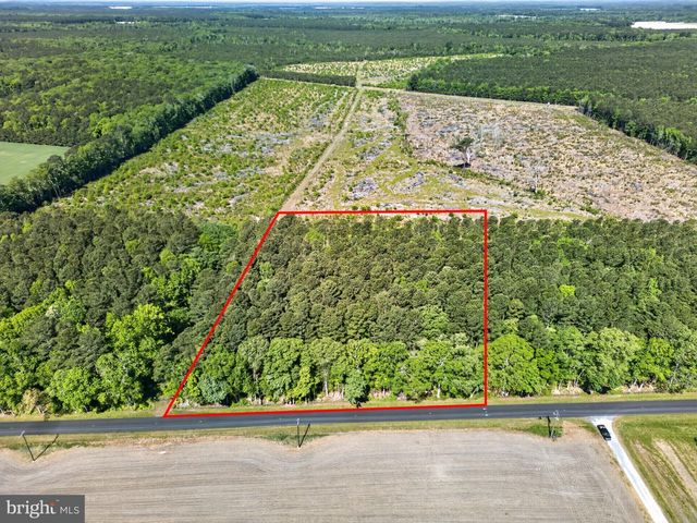 0 DOWNS, Newark, MD 21841