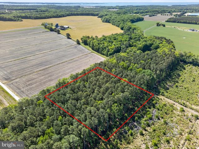 0 DOWNS, Newark, MD 21841