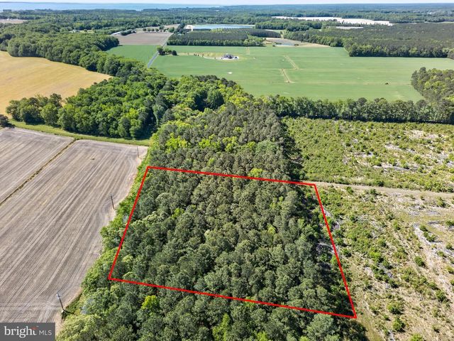 0 DOWNS, Newark, MD 21841