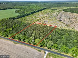 0 DOWNS, Newark, MD 21841
