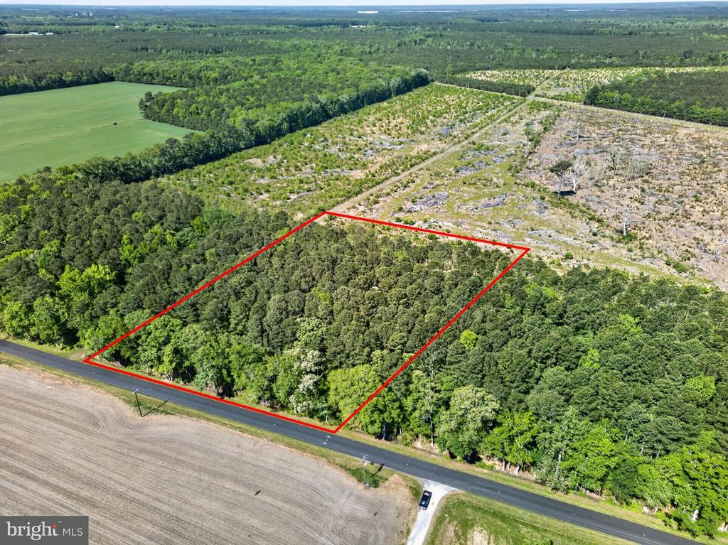 0 DOWNS, Newark, MD 21841