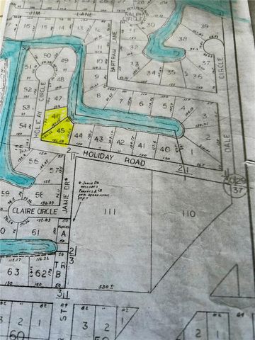 55730 HOLIDAY CIRCLE, Astor, FL 32102