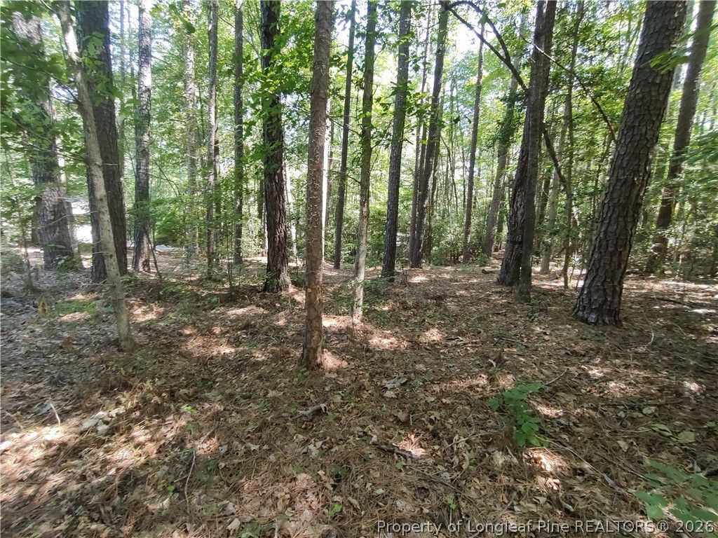 1454 W Carolina Drive, Sanford, NC 27332 — photo 10