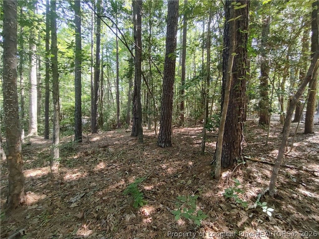 1454 W Carolina Drive, Sanford, NC 27332 — photo 11