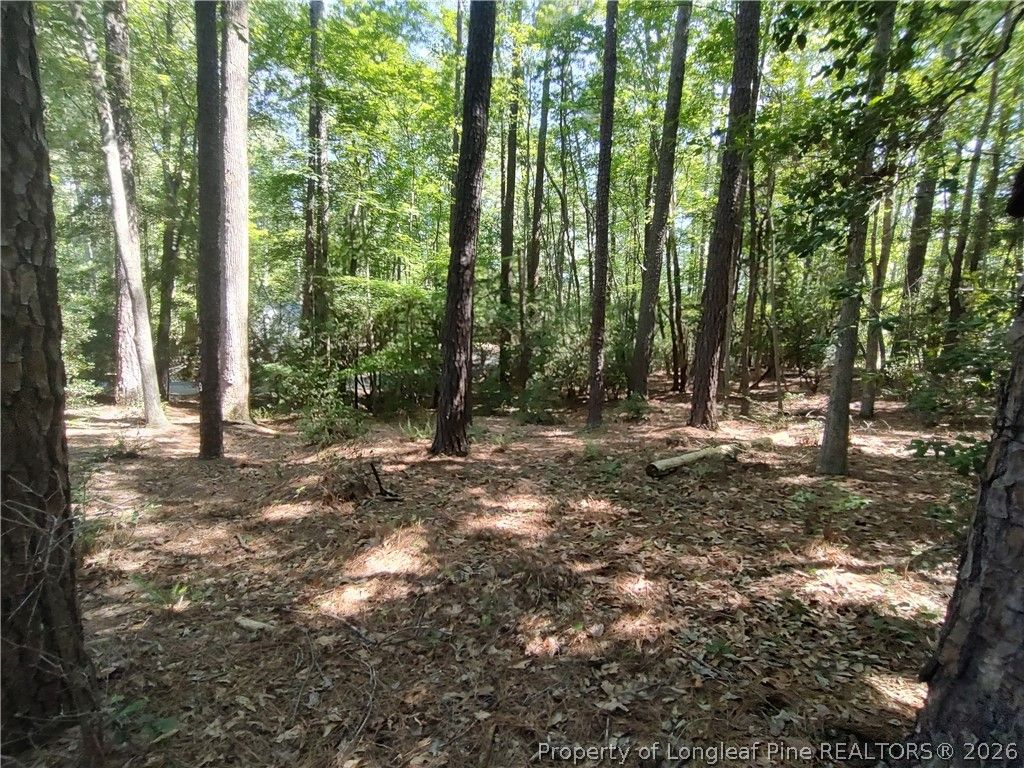 1454 W Carolina Drive, Sanford, NC 27332 — photo 12