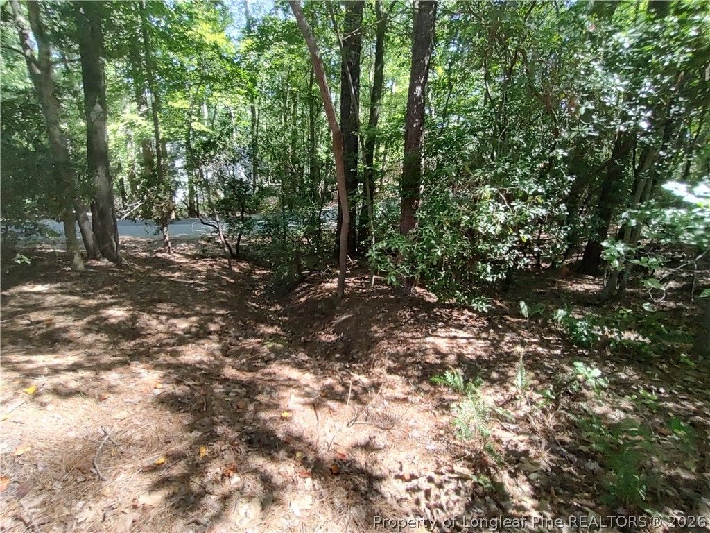 1454 W Carolina Drive, Sanford, NC 27332 — photo 13