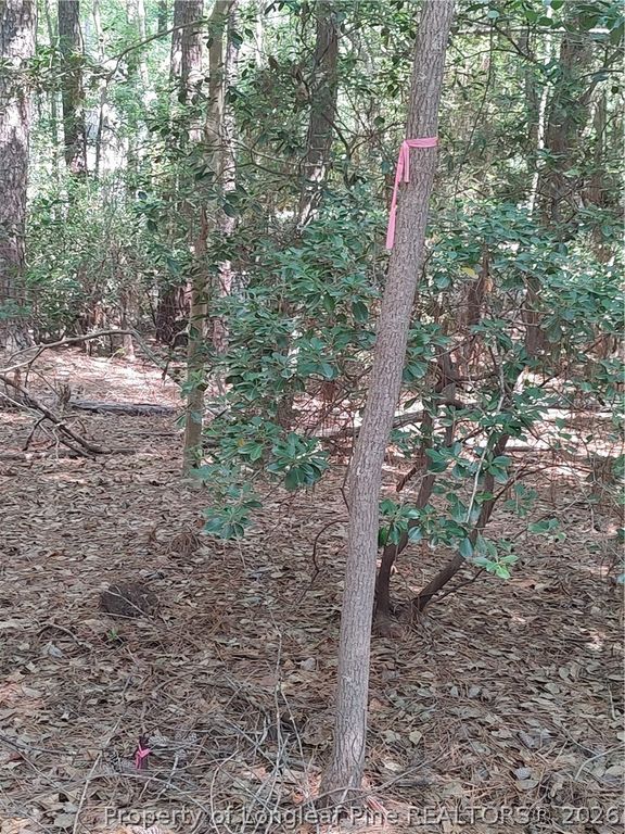 1454 W Carolina Drive, Sanford, NC 27332 — photo 14