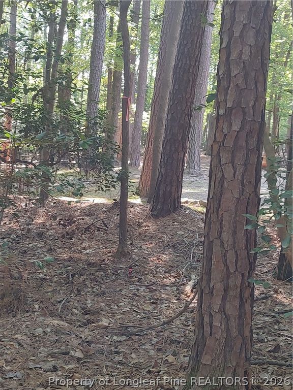 1454 W Carolina Drive, Sanford, NC 27332 — photo 15