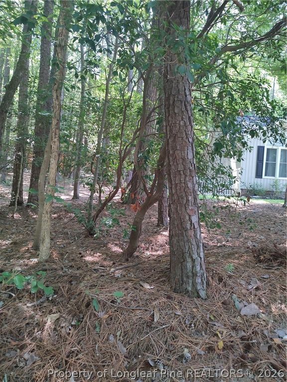 1454 W Carolina Drive, Sanford, NC 27332 — photo 16