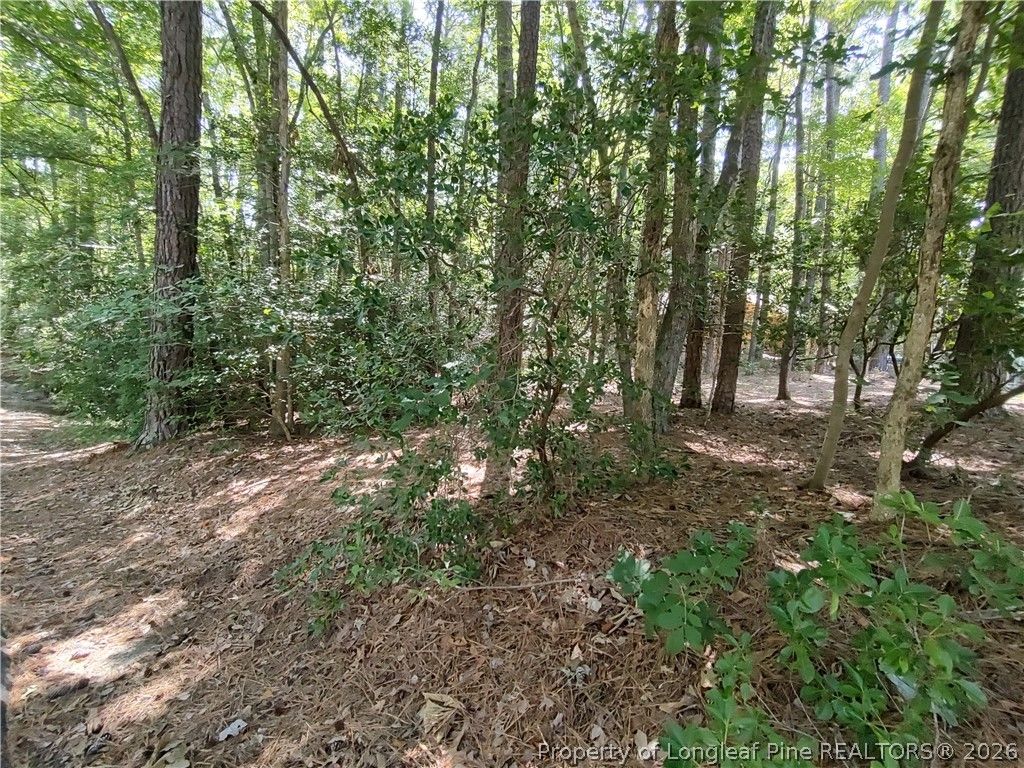 1454 W Carolina Drive, Sanford, NC 27332 — photo 3