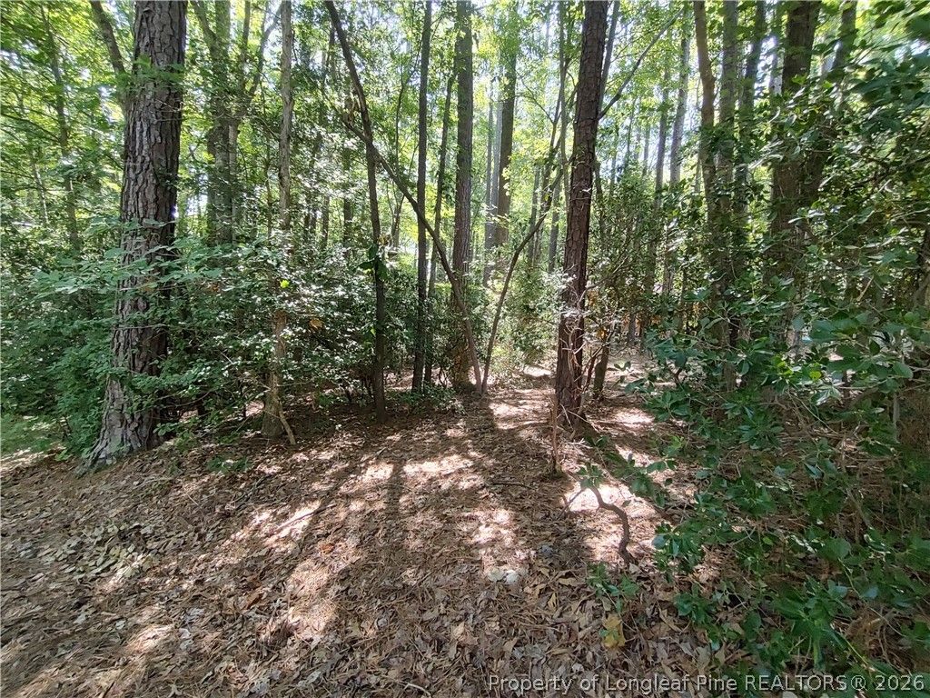 1454 W Carolina Drive, Sanford, NC 27332 — photo 4