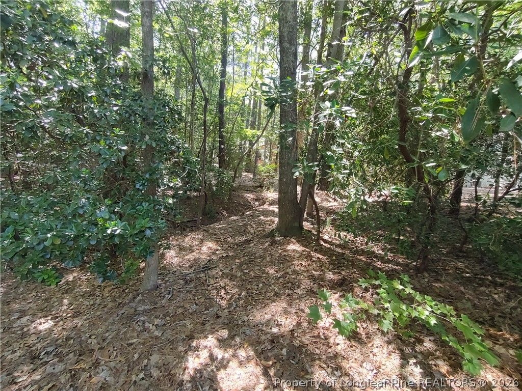 1454 W Carolina Drive, Sanford, NC 27332 — photo 5