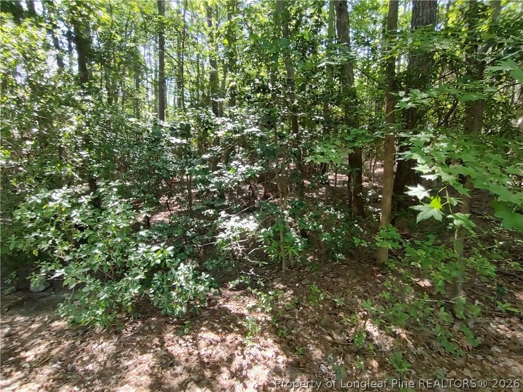 1454 W Carolina Drive, Sanford, NC 27332 — photo 6