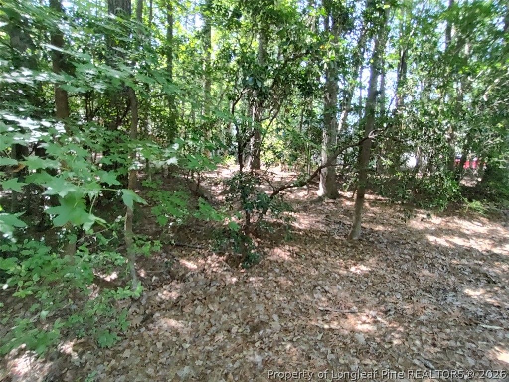 1454 W Carolina Drive, Sanford, NC 27332 — photo 7