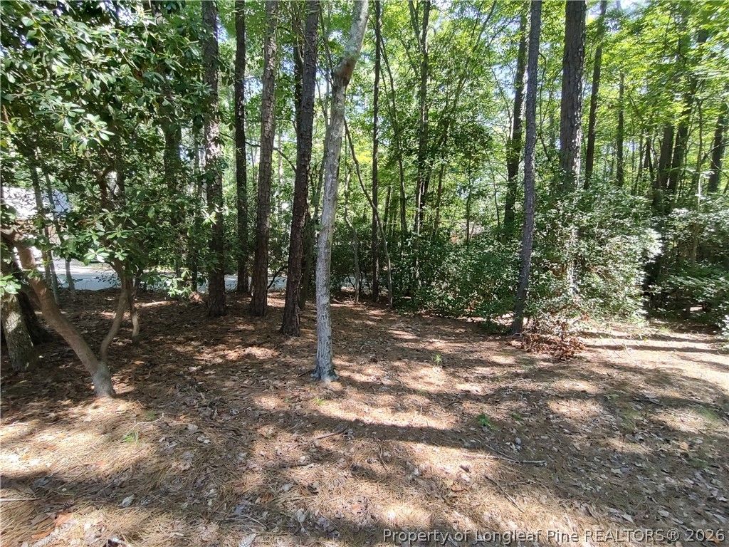 1454 W Carolina Drive, Sanford, NC 27332 — photo 9