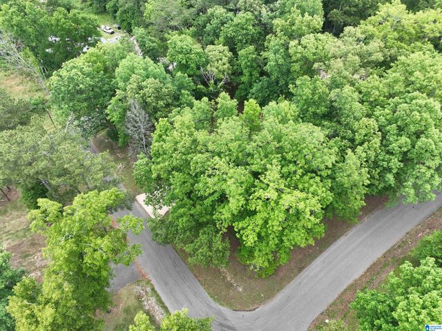 4957 SMITH TRAIL, Pell City, AL 35128