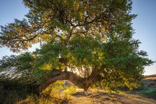 000 Ranch Road 12, Dripping Springs, TX 78620