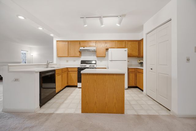 171 Old Oak Court W, Buffalo Grove, IL 60089