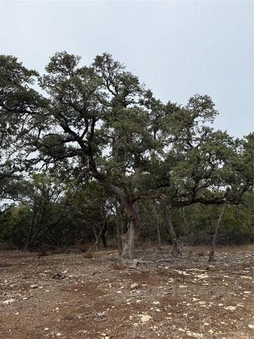 Tract 2 Pump Station RD, Wimberley, TX 78676
