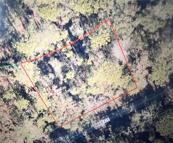 TBD BAY COURT ROAD, Ocklawaha, FL 32179