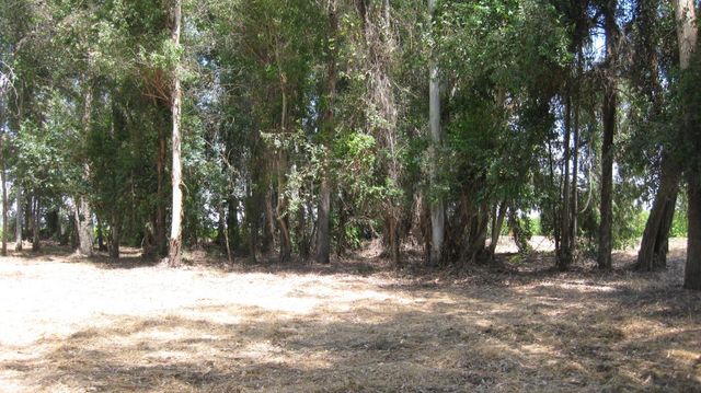 6778 Nebraska Avenue, Selma, CA 93662