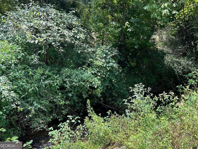 445 Elkmont Trail, Cleveland, GA 30528