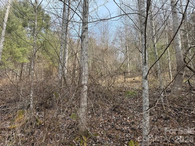 000 Rosalie Lane 5, Waynesville, NC 28785