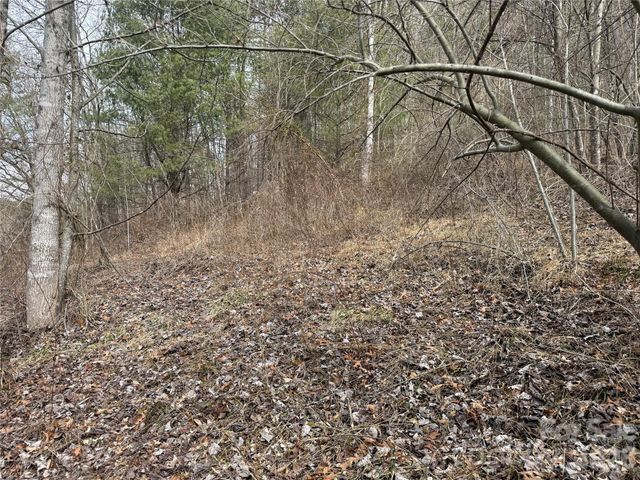 000 Rosalie Lane 5, Waynesville, NC 28785