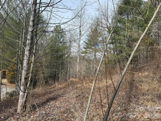 000 Rosalie Lane 5, Waynesville, NC 28785