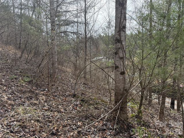 000 Rosalie Lane 5, Waynesville, NC 28785