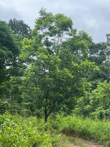 0 Cherokee Trail, Tallassee, AL 36078